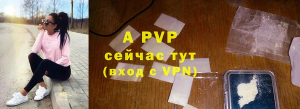 ПСИЛОЦИБИНОВЫЕ ГРИБЫ Абаза