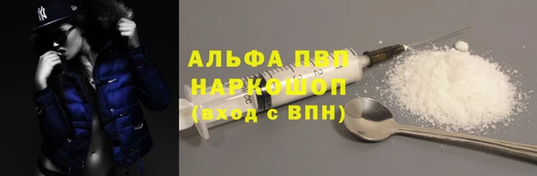 прущие грибы Абинск