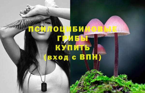 ПСИЛОЦИБИНОВЫЕ ГРИБЫ Абаза