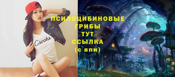 прущие грибы Абинск
