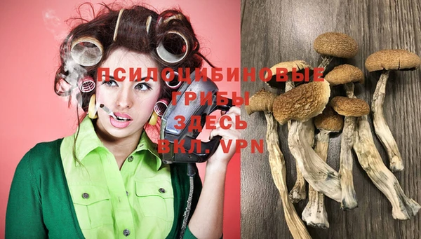 ПСИЛОЦИБИНОВЫЕ ГРИБЫ Абаза